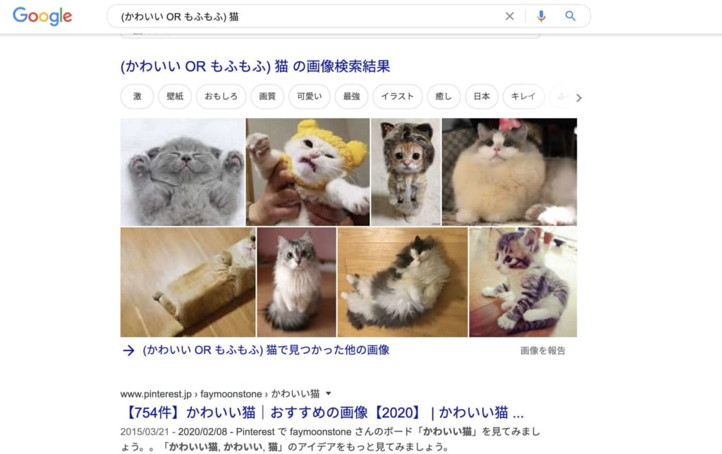 Google検索-ANDとORの応用