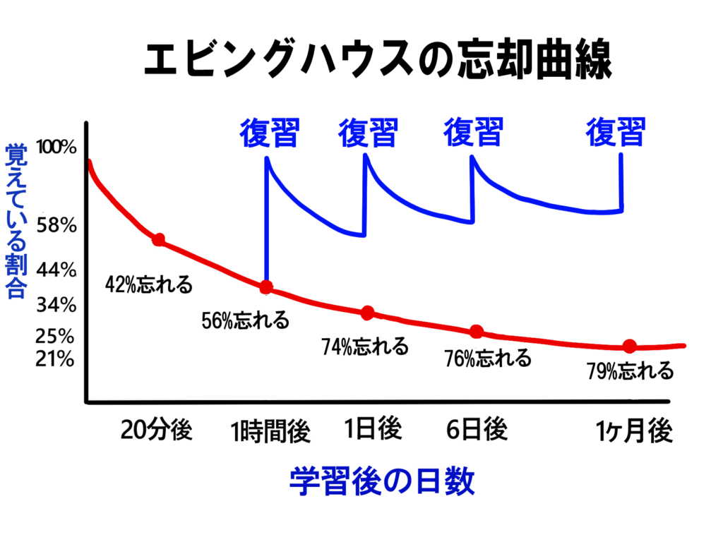 エビングハウスの忘却曲線_復習